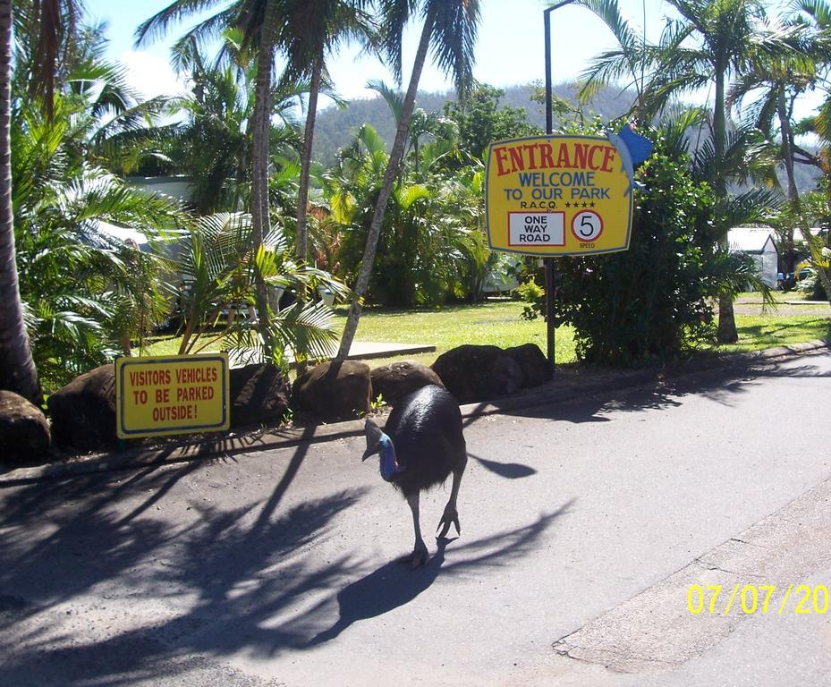 Flying Fish Point Tourist Park Hotel Innisfail Kültér fotó