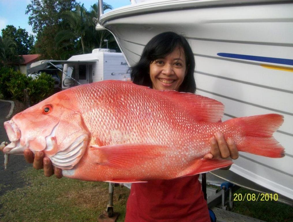 Flying Fish Point Tourist Park Hotel Innisfail Kültér fotó