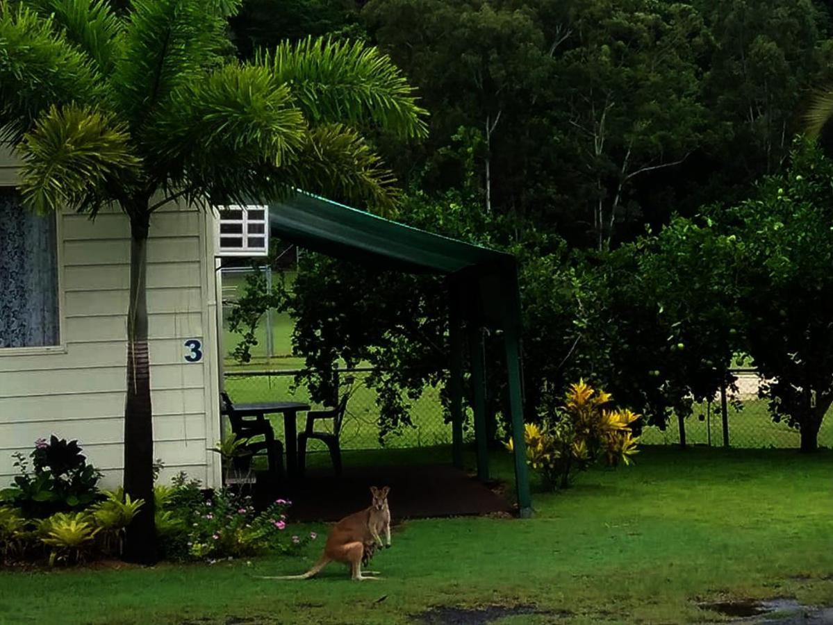 Flying Fish Point Tourist Park Hotel Innisfail Kültér fotó